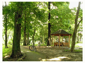 夏に涼しい・木立に囲まれた公園